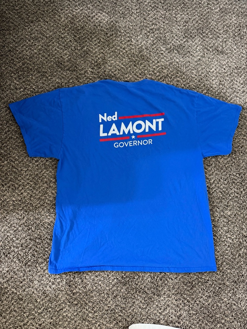 Men's Short Sleeve Blue Campaign Graphic Tee